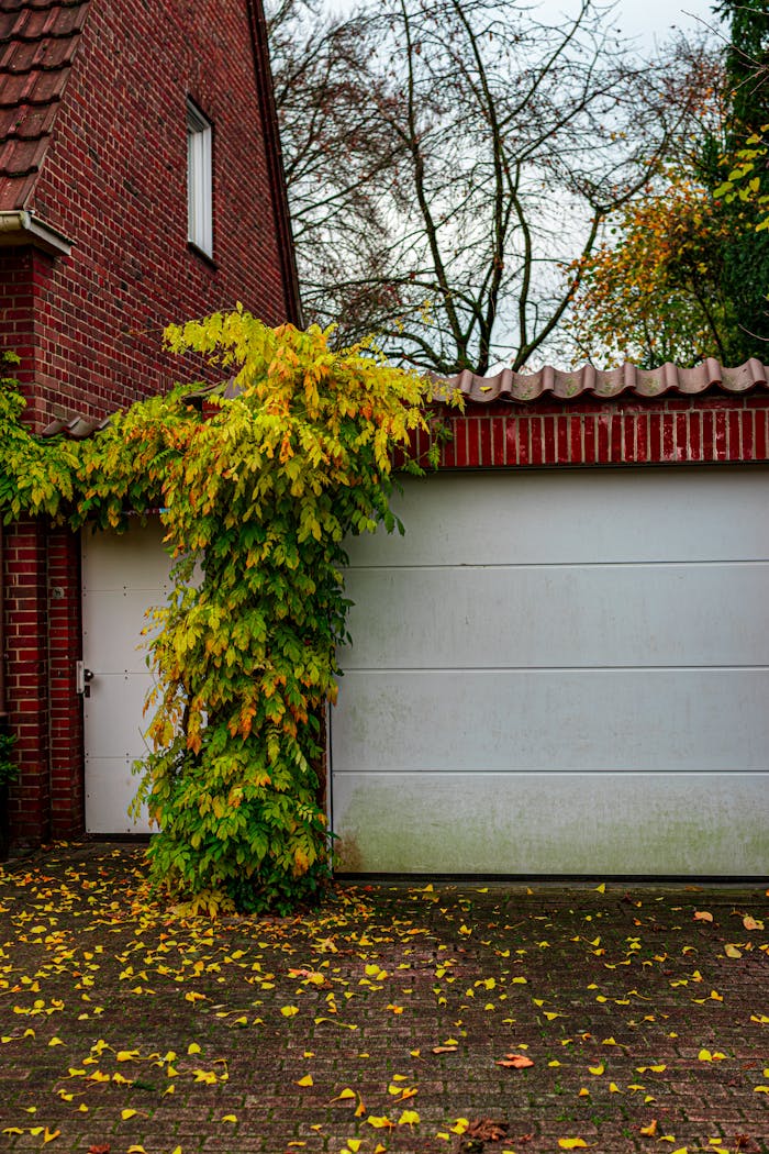 Services-03 Brick garage facade with vibrant autumn ivy and fallen leaves covering the driveway.