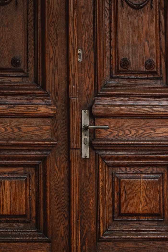 Close-up of an intricate wooden door with brass handle detailing, showcasing wood grain.